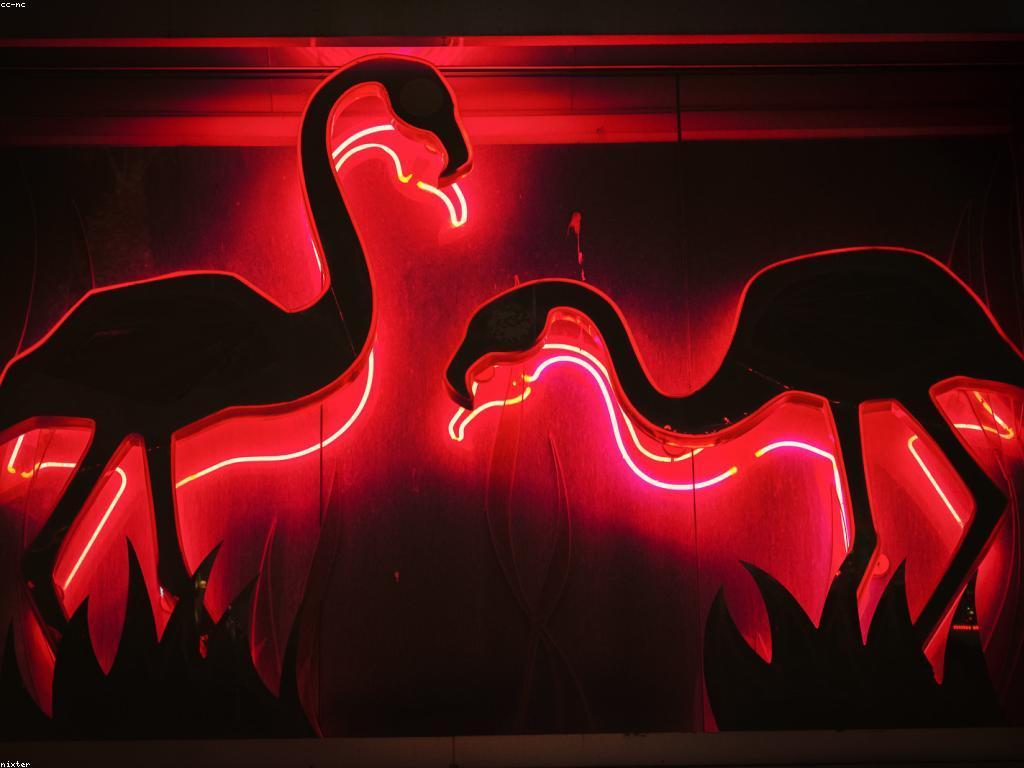 គន្លឹះសម្រាប់ការលេងកាស៊ីណូដោយប្រើបច្ចេកវិទ្យា